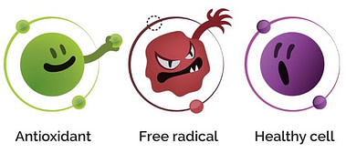 frie radikaler